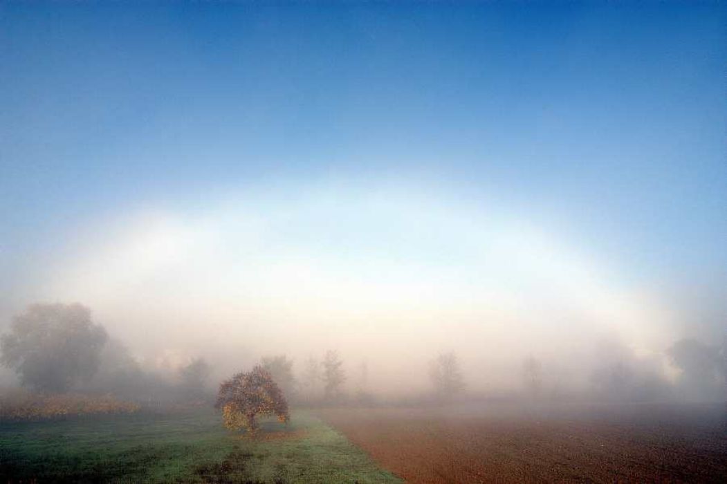 Nom de l'image : D1087116-nef-01_(c)Norbert-JUNG — Description :